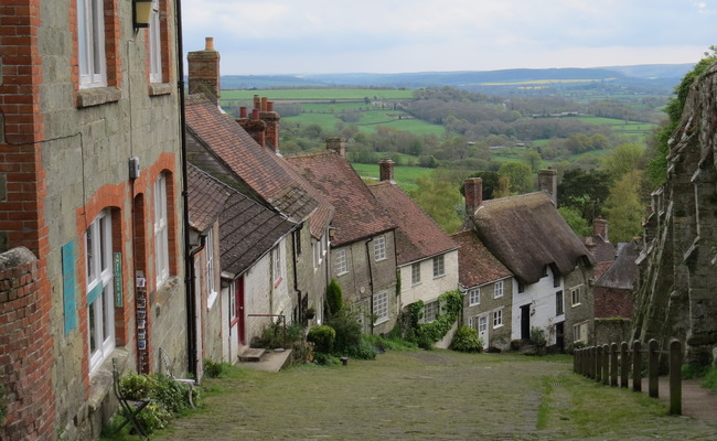 Hillside properties in Shaftesbury