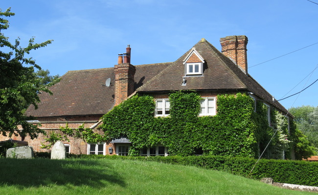 Oakley plants growing on the exterior of the property