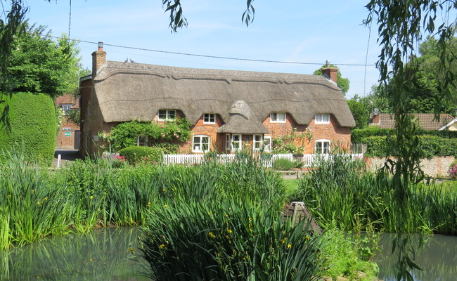 Detached thatched cottage