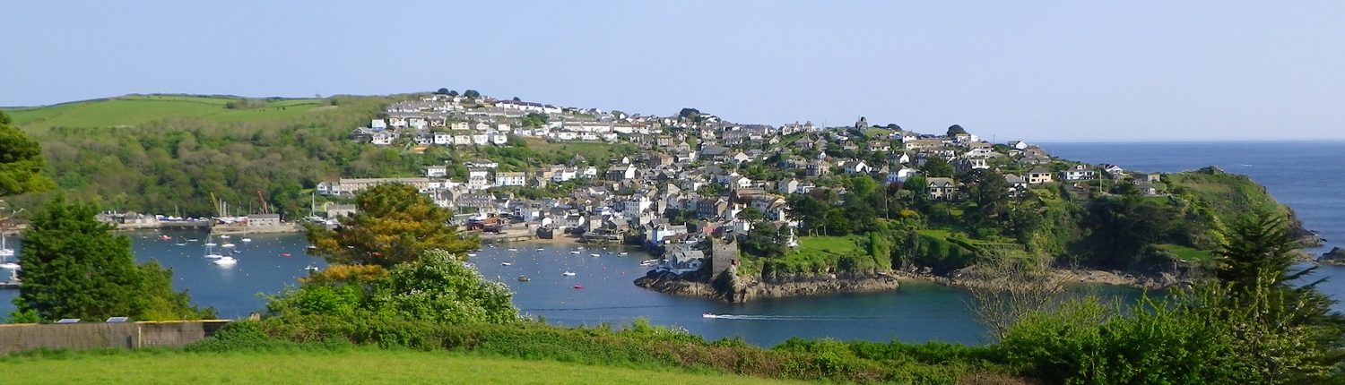 Polruan town view