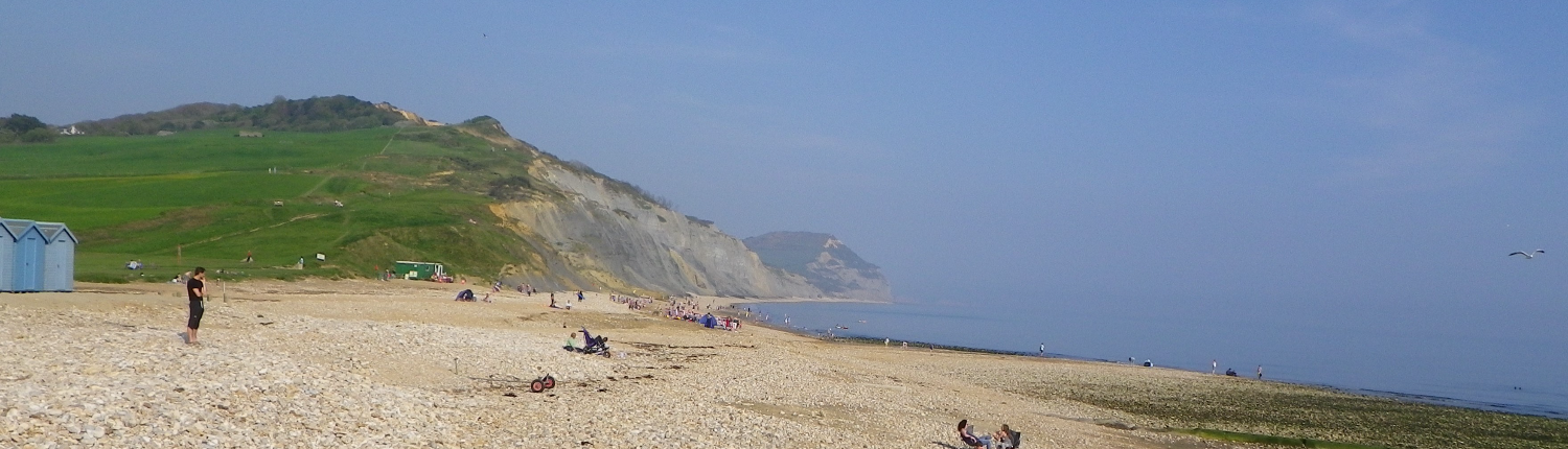 Charmouth Beach