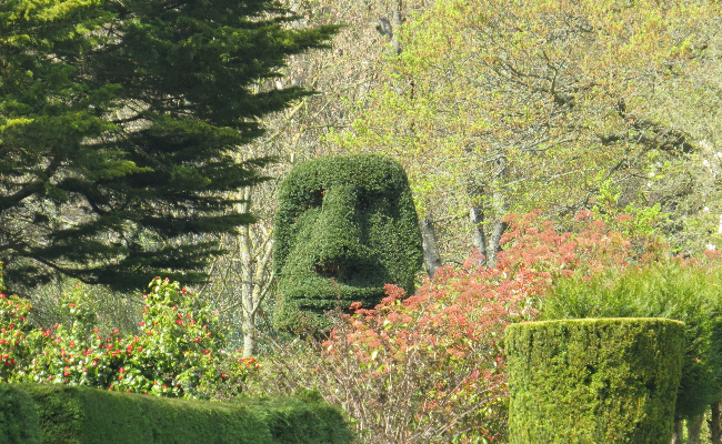 Decorative hedge