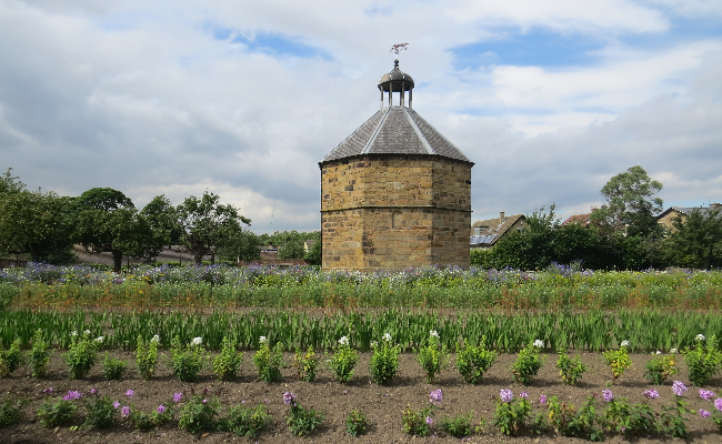 Guisborough gardens