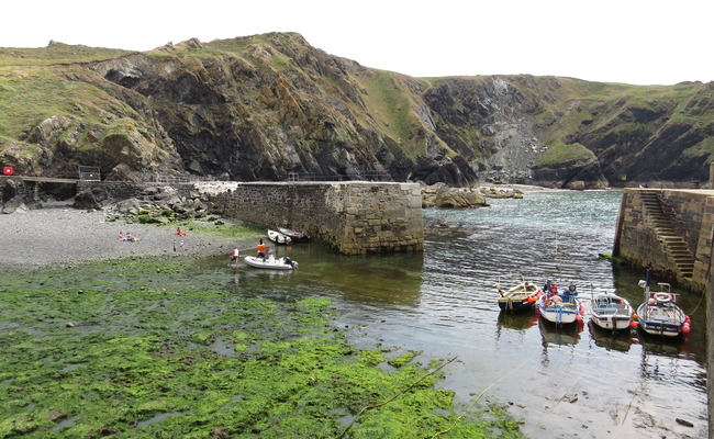 Mullion Cove Harbour