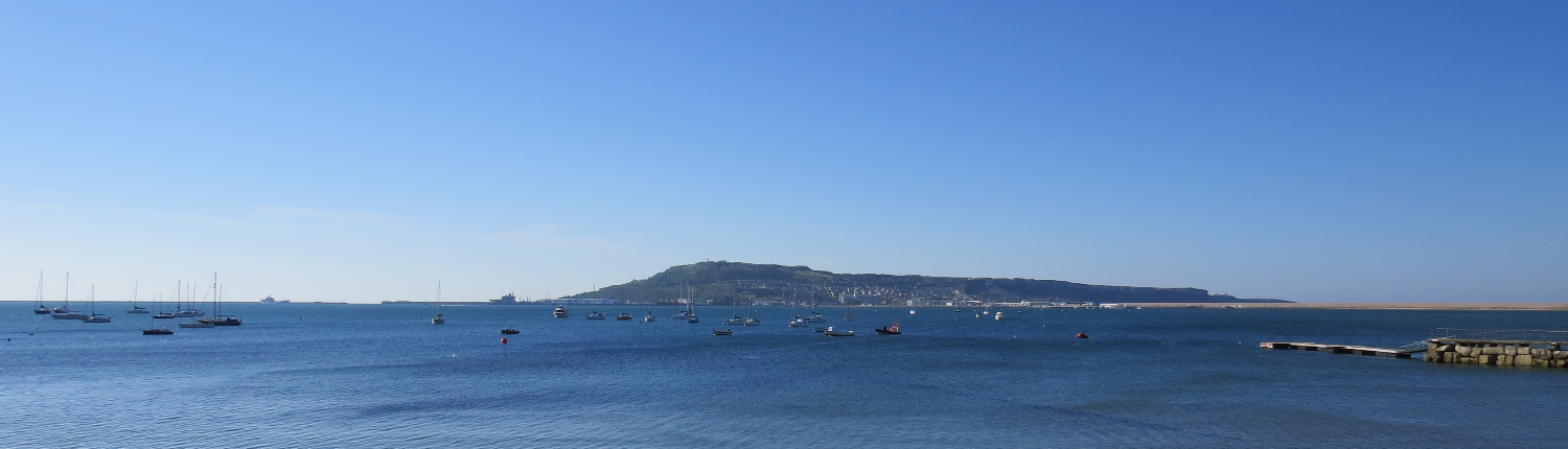 A view of Portland Island