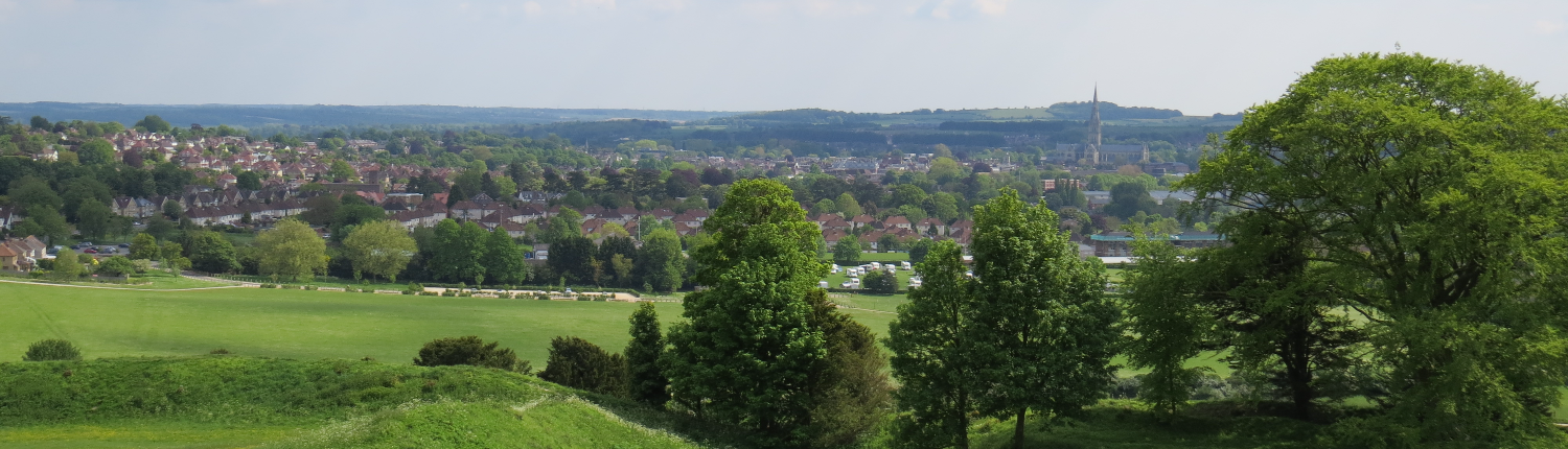 A view of Sailsbury