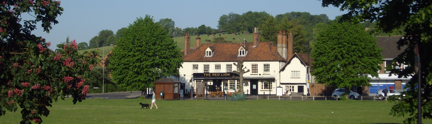 The red lion pub