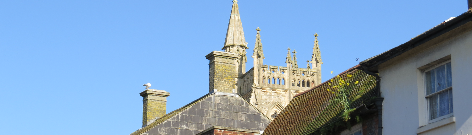 Newport roofs