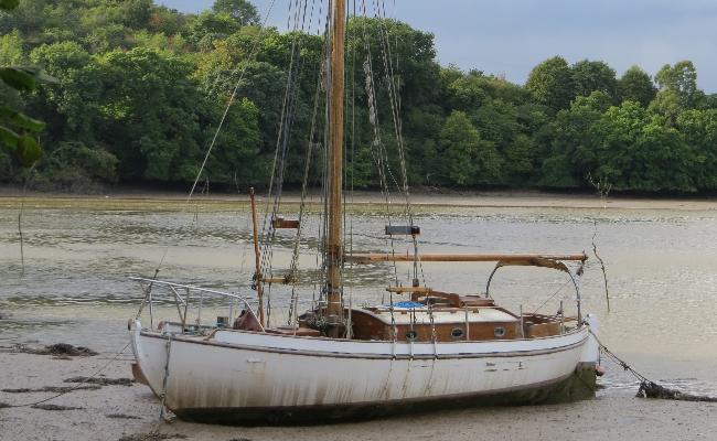 Dittisham sail boat